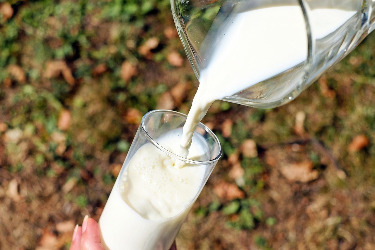 牛乳が口臭予防に与える効果とは？