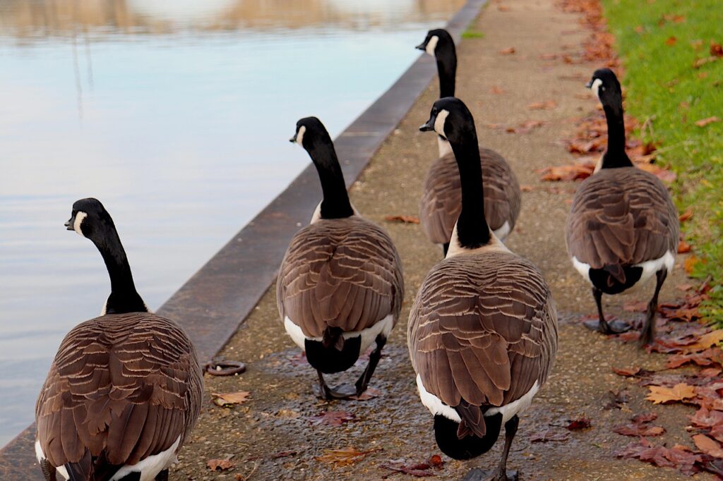 旅行用の口臭即効ケアにおすすめの方法は？