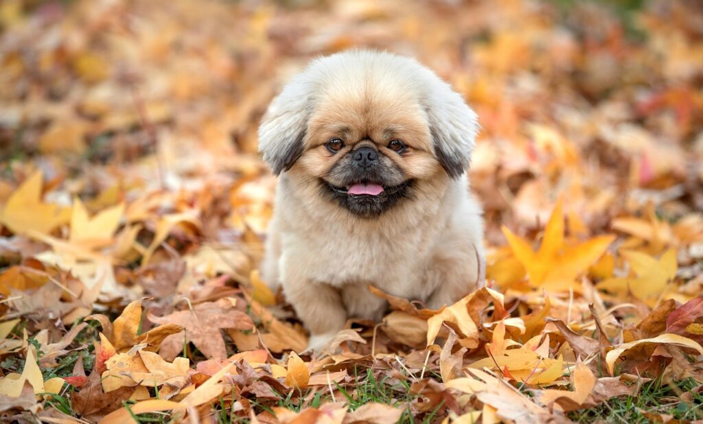 口臭を気にする人がチョコレートを楽しむ方法は？