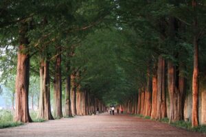 口臭対策に最適なツールの使い方ガイドは？