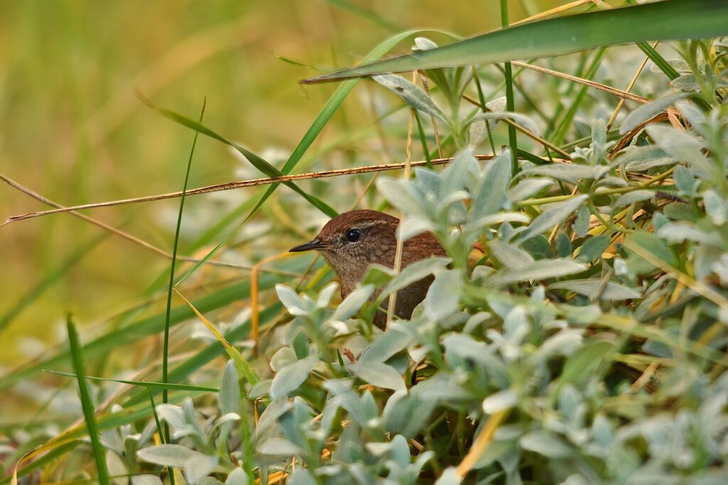 口臭の治療薬で即効性のある効果はどれですか？