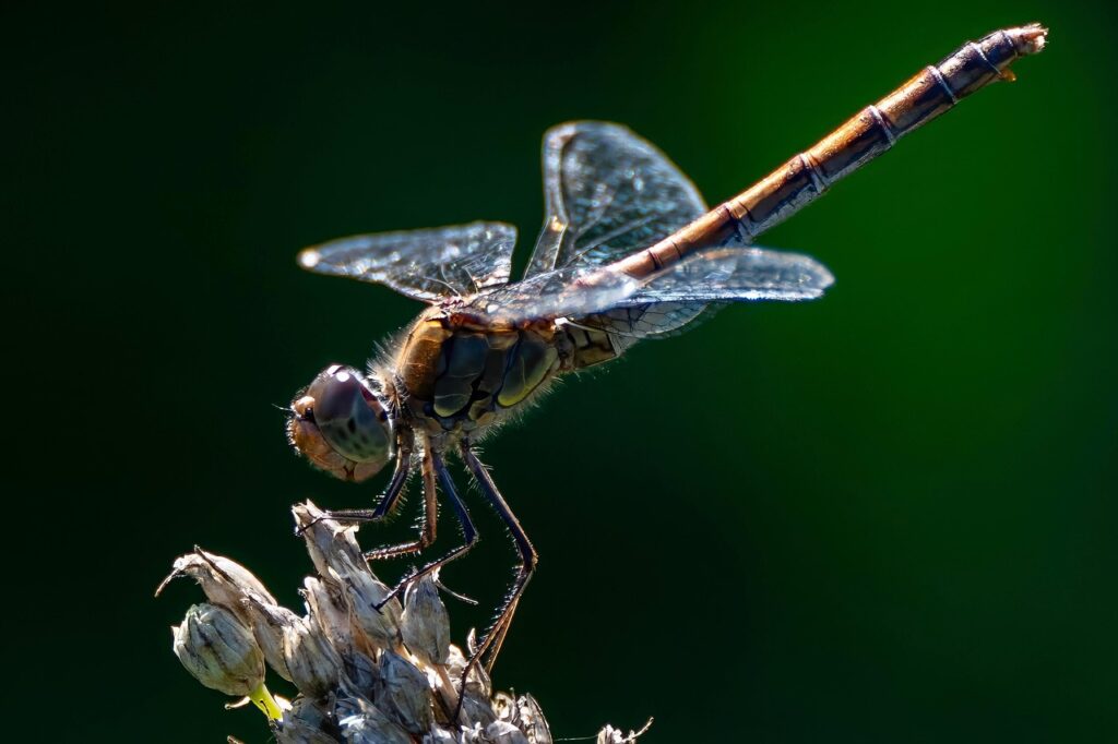 口臭を簡単にケアする方法とは？
