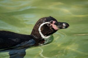 口臭ケアにおける即効性のある方法を比較すると？
