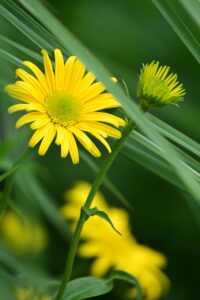 口臭対策に最適な歯磨き粉の即効効果とは？