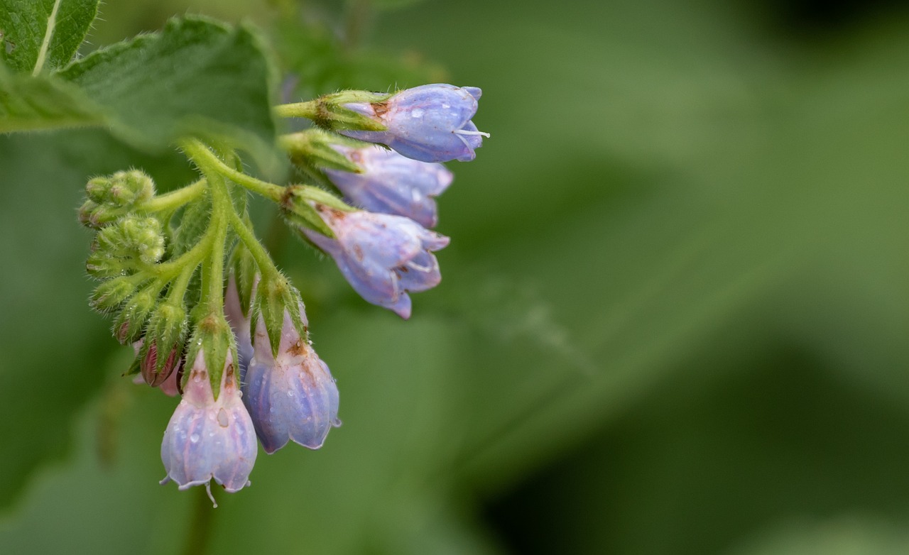 口臭対策グッズの効果を比較してどれが一番おすすめ？