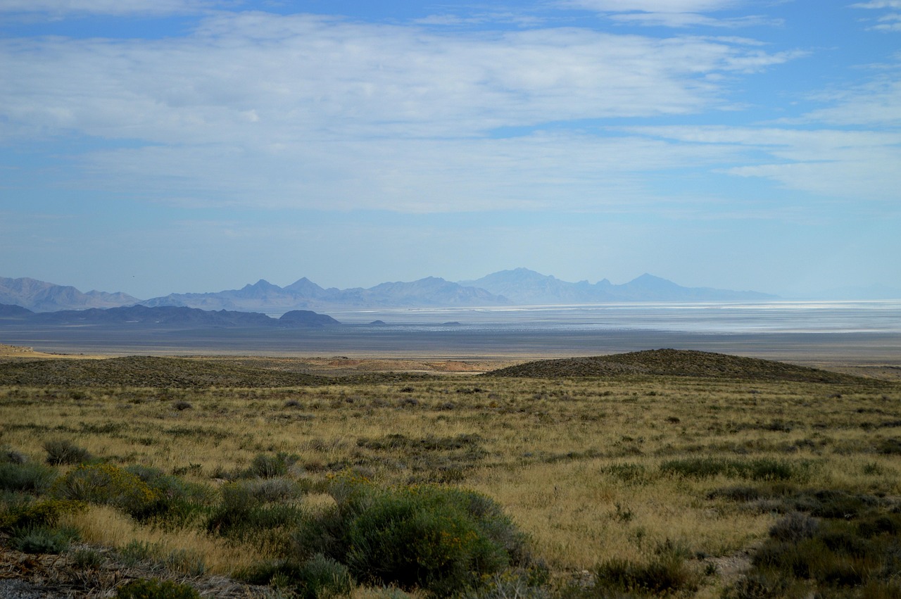 旅行中の口臭ケアに最適な持ち運びアイテムは？