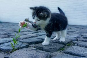 飲み会後の口臭対策に効果的なガムは？